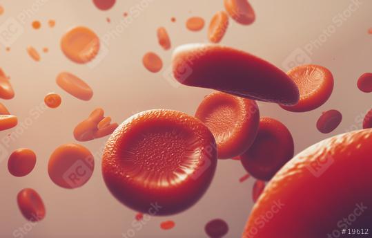 red blood cells, scientific or medical or microbiological concept image - 3D rendering  : Stock Photo or Stock Video Download rcfotostock photos, images and assets rcfotostock | RC Photo Stock.: