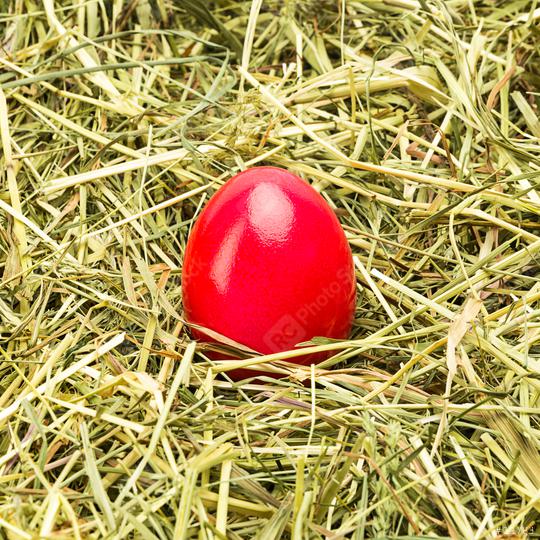 red easter egg lies in hay  : Stock Photo or Stock Video Download rcfotostock photos, images and assets rcfotostock | RC Photo Stock.: