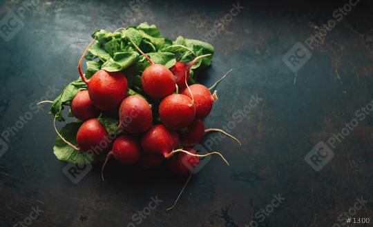 red radish Summer harvested. Growing organic vegetables. Large bunch of raw fresh juicy garden radish on dark background ready to eat. copyspace for your individual text.  : Stock Photo or Stock Video Download rcfotostock photos, images and assets rcfotostock | RC Photo Stock.: