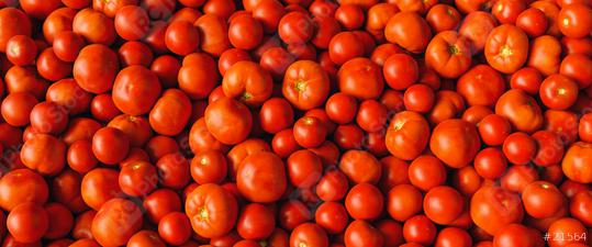 Red tomatoes and beefsteak tomatoes on a pile as a background texture, banner size  : Stock Photo or Stock Video Download rcfotostock photos, images and assets rcfotostock | RC Photo Stock.: