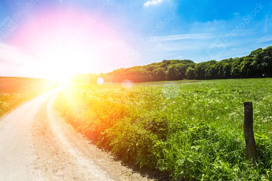 road landscape view with sunlight  : Stock Photo or Stock Video Download rcfotostock photos, images and assets rcfotostock | RC Photo Stock.: