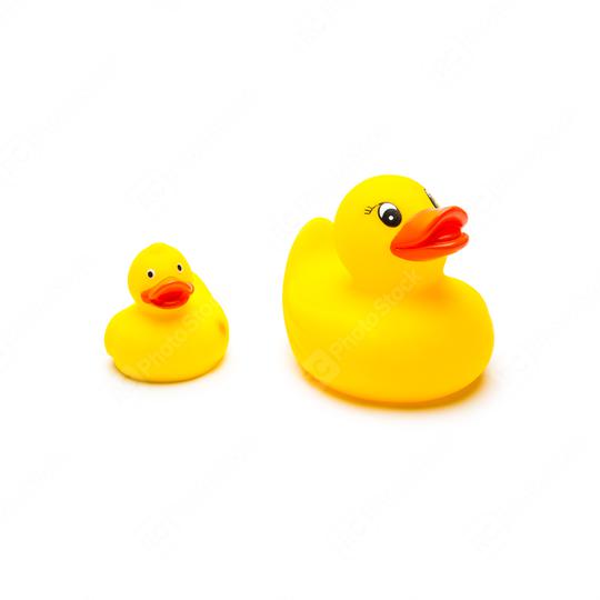rubber duck family  : Stock Photo or Stock Video Download rcfotostock photos, images and assets rcfotostock | RC Photo Stock.: