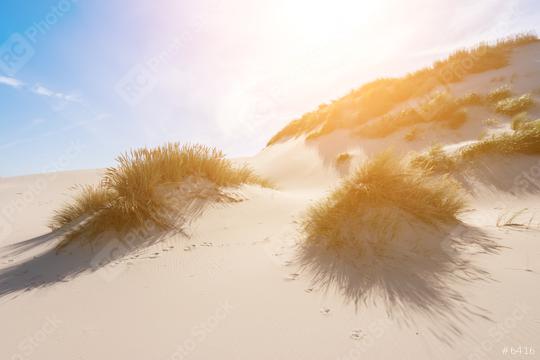 sand dunes at the North sea coast  : Stock Photo or Stock Video Download rcfotostock photos, images and assets rcfotostock | RC Photo Stock.: