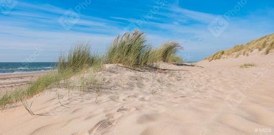 sand dunes on North sea coast, Holland  : Stock Photo or Stock Video Download rcfotostock photos, images and assets rcfotostock | RC Photo Stock.: