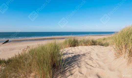 sand dunes with grass in Zeeland, Holland  : Stock Photo or Stock Video Download rcfotostock photos, images and assets rcfotostock | RC Photo Stock.: