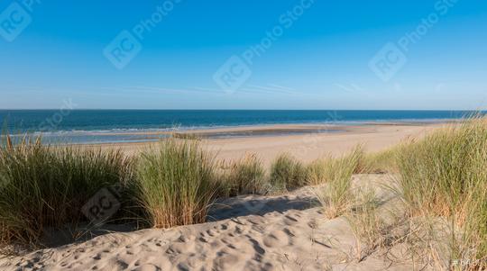 sand dunes with ocean view in Renesse, Holland  : Stock Photo or Stock Video Download rcfotostock photos, images and assets rcfotostock | RC Photo Stock.: