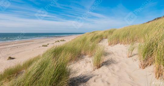 Sea dunes with ocean view  : Stock Photo or Stock Video Download rcfotostock photos, images and assets rcfotostock | RC Photo Stock.: