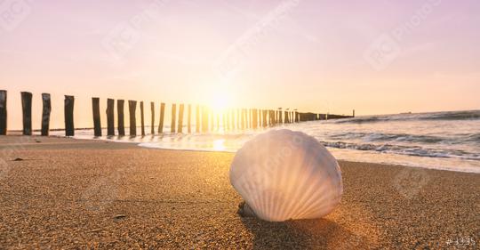 Sea shell on beach over sunset seascape background  : Stock Photo or Stock Video Download rcfotostock photos, images and assets rcfotostock | RC Photo Stock.: