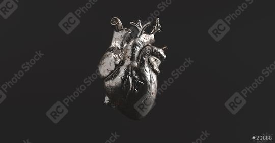 Silver Anatomical Heart. Anatomy and medicine concept image.  : Stock Photo or Stock Video Download rcfotostock photos, images and assets rcfotostock | RC Photo Stock.: