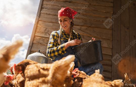 smiling chicken famer woman with bucket feeding chickens at the farm  : Stock Photo or Stock Video Download rcfotostock photos, images and assets rcfotostock | RC Photo Stock.: