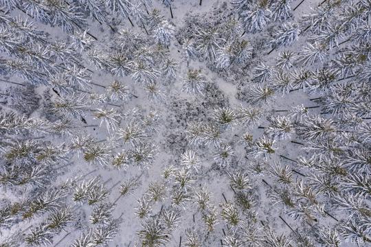 Snowy forrest captured from above with a drone  : Stock Photo or Stock Video Download rcfotostock photos, images and assets rcfotostock | RC Photo Stock.: