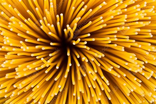 Spaghetti noodle twister  : Stock Photo or Stock Video Download rcfotostock photos, images and assets rcfotostock | RC Photo Stock.: