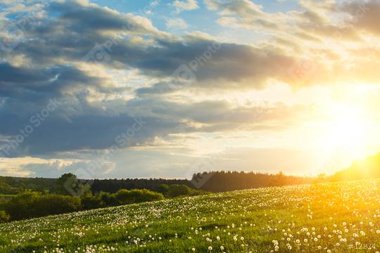 Spring meadow with explosive sunlight  : Stock Photo or Stock Video Download rcfotostock photos, images and assets rcfotostock | RC Photo Stock.: