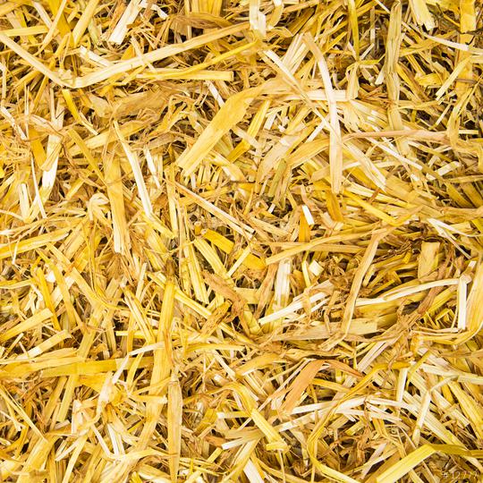 straw texture background  : Stock Photo or Stock Video Download rcfotostock photos, images and assets rcfotostock | RC Photo Stock.: