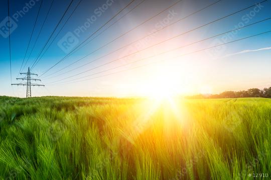 Sun emits explosive over wheat field  : Stock Photo or Stock Video Download rcfotostock photos, images and assets rcfotostock | RC Photo Stock.: