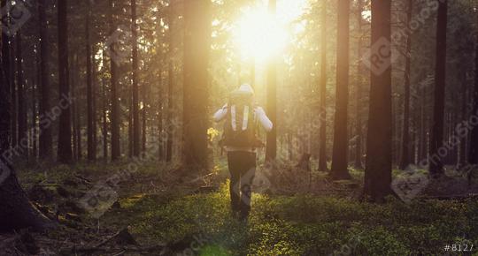 Sunny sunset in the woods with young hiker   : Stock Photo or Stock Video Download rcfotostock photos, images and assets rcfotostock | RC Photo Stock.: