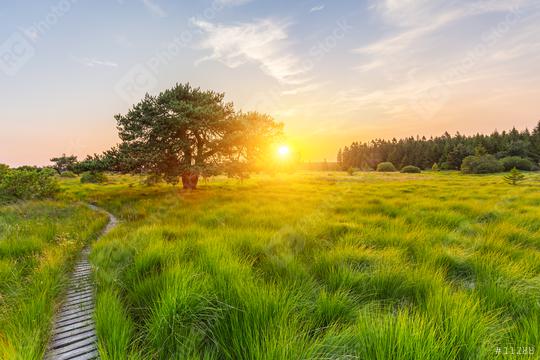 sunset at the Hautes Fagnes  : Stock Photo or Stock Video Download rcfotostock photos, images and assets rcfotostock | RC Photo Stock.: