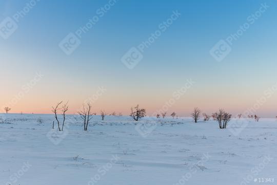Sunset at the hautes Fagnes at winter  : Stock Photo or Stock Video Download rcfotostock photos, images and assets rcfotostock | RC Photo Stock.: