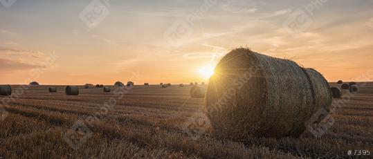 Sunset over farm field with hay bales   : Stock Photo or Stock Video Download rcfotostock photos, images and assets rcfotostock | RC Photo Stock.: