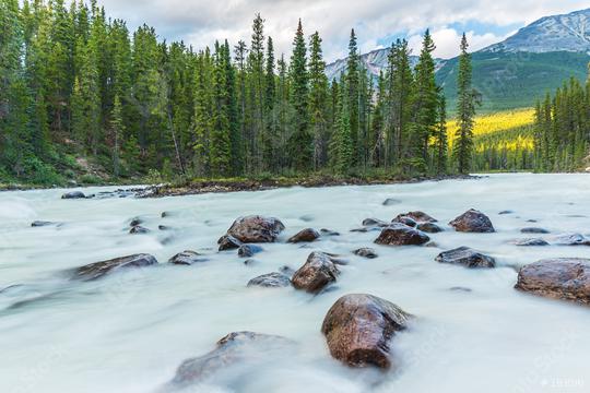 Sunwapta River with island at the jasper national park canada  : Stock Photo or Stock Video Download rcfotostock photos, images and assets rcfotostock | RC Photo Stock.: