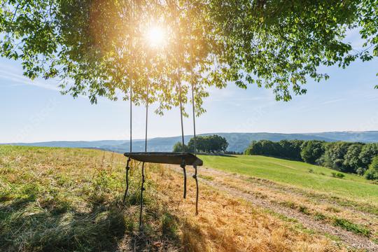 Swing in the Beautiful Nature scene at summer  : Stock Photo or Stock Video Download rcfotostock photos, images and assets rcfotostock | RC Photo Stock.:
