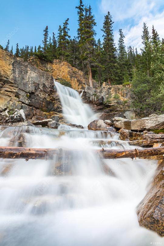 Tangle Creek Waterfall in sumer at the jasper national park   : Stock Photo or Stock Video Download rcfotostock photos, images and assets rcfotostock | RC Photo Stock.: