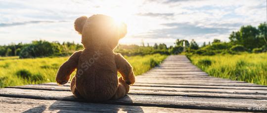 Teddy bear sitting on a Path into the sun... copyspace for your individual text.  : Stock Photo or Stock Video Download rcfotostock photos, images and assets rcfotostock | RC Photo Stock.: