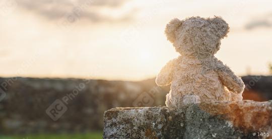 Teddy bear sitting on a stone wall at sunset. copyspace for your individual text.  : Stock Photo or Stock Video Download rcfotostock photos, images and assets rcfotostock | RC Photo Stock.: