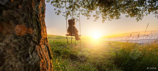 Teddy bear sitting on a Swing on sunset on a old oak tree. Concept image about love and childhood  : Stock Photo or Stock Video Download rcfotostock photos, images and assets rcfotostock | RC Photo Stock.: