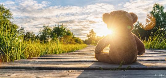 Teddy bear sitting on a Wooden path at sunset. copyspace for your individual text.  : Stock Photo or Stock Video Download rcfotostock photos, images and assets rcfotostock | RC Photo Stock.: