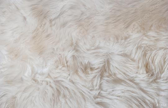 Texture of white shaggy fur  : Stock Photo or Stock Video Download rcfotostock photos, images and assets rcfotostock | RC Photo Stock.: