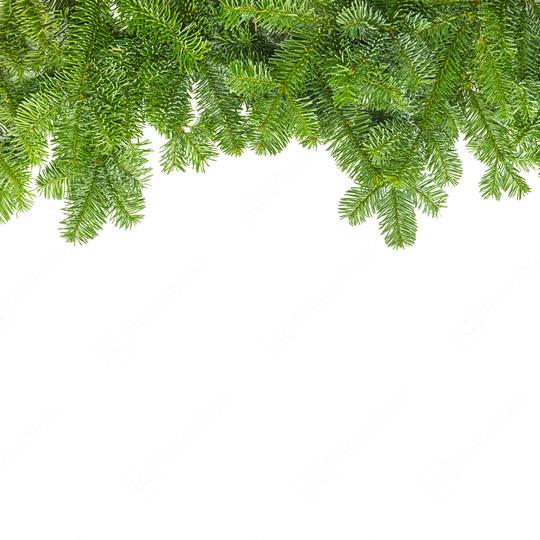 tight fir branches  : Stock Photo or Stock Video Download rcfotostock photos, images and assets rcfotostock | RC Photo Stock.: