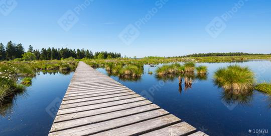 trail over a bog pond at the High Fens (Hautes Fagnes)  : Stock Photo or Stock Video Download rcfotostock photos, images and assets rcfotostock | RC Photo Stock.: