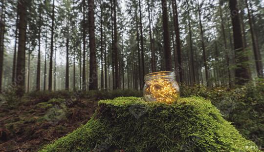 Transparent jar with lights from led in a misty forest. Romantic Hipster Concept. copyspace for your individual text  : Stock Photo or Stock Video Download rcfotostock photos, images and assets rcfotostock | RC Photo Stock.: