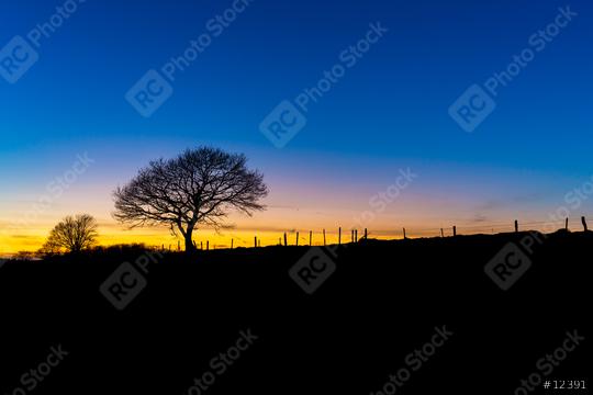 tree silhouette landscape at sunset  : Stock Photo or Stock Video Download rcfotostock photos, images and assets rcfotostock | RC Photo Stock.:
