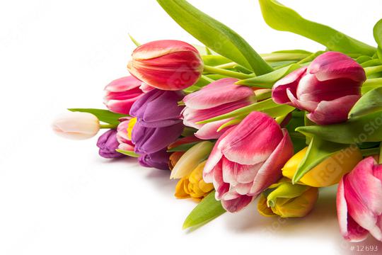 Tulip flower bouquet  : Stock Photo or Stock Video Download rcfotostock photos, images and assets rcfotostock | RC Photo Stock.: