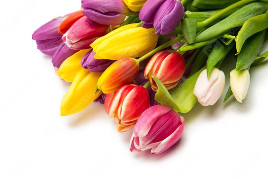 Tulip flowers bouquet  : Stock Photo or Stock Video Download rcfotostock photos, images and assets rcfotostock | RC Photo Stock.: