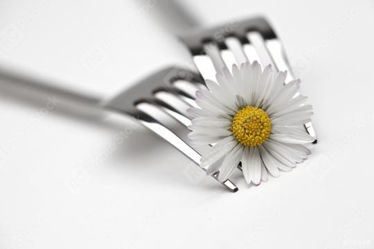 two forks with daisies  : Stock Photo or Stock Video Download rcfotostock photos, images and assets rcfotostock | RC Photo Stock.: