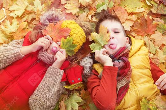 Two playful children lying on colorful autumn leaves, covering their faces with leaves and sticking out their tongues, enjoying the fall season in warm clothes  : Stock Photo or Stock Video Download rcfotostock photos, images and assets rcfotostock | RC Photo Stock.: