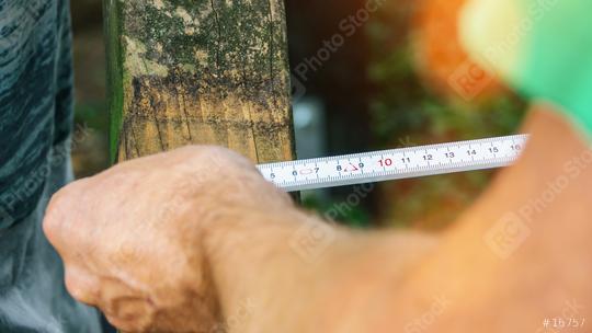 versatile craftsman working with wood to build a house on a summer day, DIY concept  : Stock Photo or Stock Video Download rcfotostock photos, images and assets rcfotostock | RC Photo Stock.: