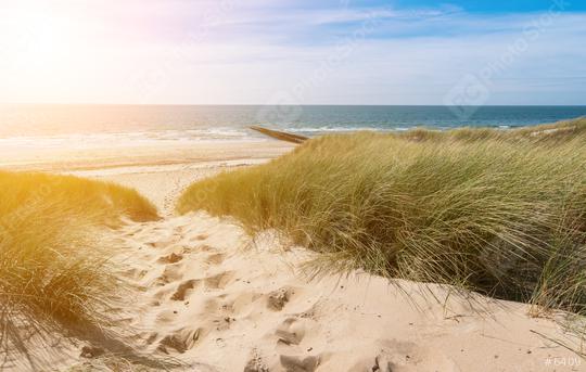 View from dunes to the ocean in Renesse, Domburg, Zeeland, Holland  : Stock Photo or Stock Video Download rcfotostock photos, images and assets rcfotostock | RC Photo Stock.: