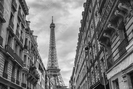 View of the Eiffel Tower from the old Town in Paris, France  : Stock Photo or Stock Video Download rcfotostock photos, images and assets rcfotostock | RC Photo Stock.: