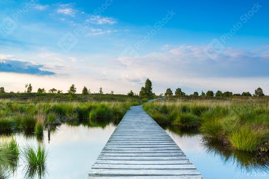 view of the Hautes Fagnes with wooden bordwalk in the eifel national park germany  : Stock Photo or Stock Video Download rcfotostock photos, images and assets rcfotostock | RC Photo Stock.: