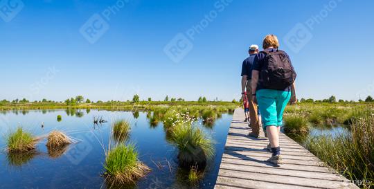 Walking tour in the High Fens (Hautes Fagnes)   : Stock Photo or Stock Video Download rcfotostock photos, images and assets rcfotostock | RC Photo Stock.: