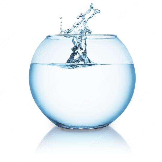 water splash in a fishbowl  : Stock Photo or Stock Video Download rcfotostock photos, images and assets rcfotostock | RC Photo Stock.: