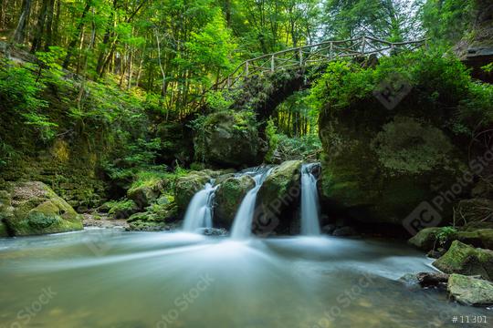 Waterfall in a deep forest  : Stock Photo or Stock Video Download rcfotostock photos, images and assets rcfotostock | RC Photo Stock.:
