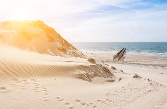 way from the dunes to the beach  : Stock Photo or Stock Video Download rcfotostock photos, images and assets rcfotostock | RC Photo Stock.:
