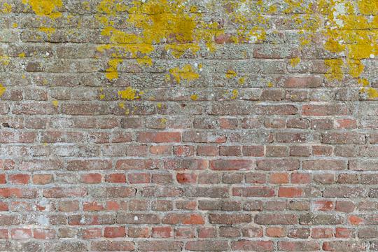 weathered brick wall background   : Stock Photo or Stock Video Download rcfotostock photos, images and assets rcfotostock | RC Photo Stock.: