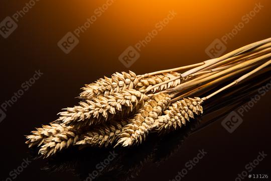 Wheat ears  : Stock Photo or Stock Video Download rcfotostock photos, images and assets rcfotostock | RC Photo Stock.: