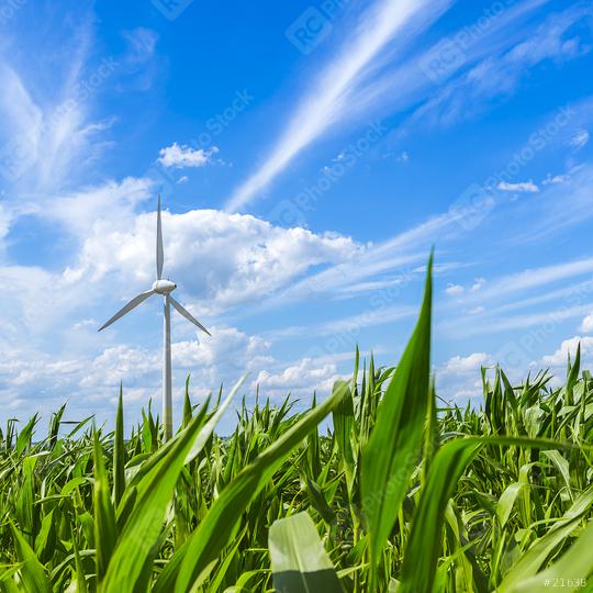 windmill wind turbine wind farm forwards cloudy sky and field  : Stock Photo or Stock Video Download rcfotostock photos, images and assets rcfotostock | RC Photo Stock.: